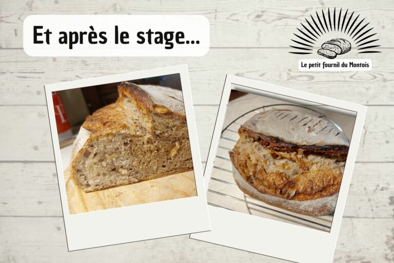 Lire la suite à propos de l’article Et après le stage comment ça se passe ?