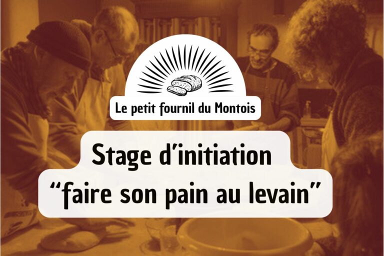 Lire la suite à propos de l’article Stage : apprendre à faire du pain au levain le 4 octobre 2026